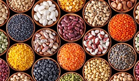 2016 : L'année des légumineuses