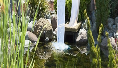 4 feiten en fabels over de blaas