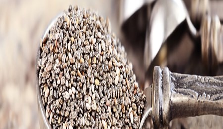 Recette: Chia Pudding