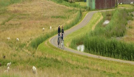 Waarom is fietsen goed voor u