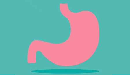 Waarom knort uw maag?