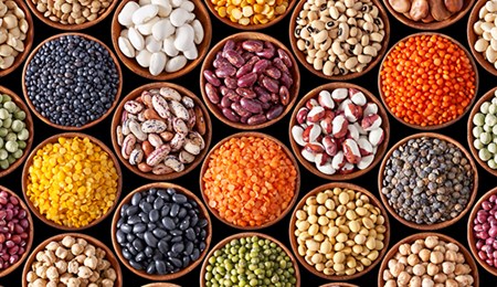 2016: Het jaar van de peulvrucht