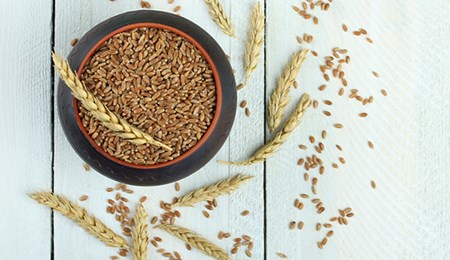 Fabel of feit: spelt is gezonder dan tarwe