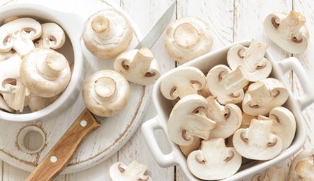 Alles wat u wilt weten over paddenstoelen