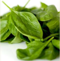 Top 5 wintervitaminen