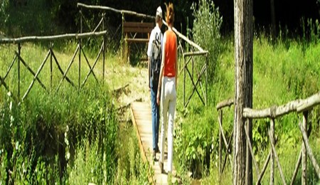 Steeds meer Vlamingen sporten