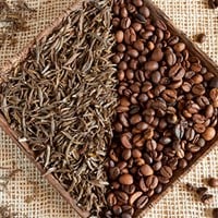 Het verschil tussen cafeïne en theïne