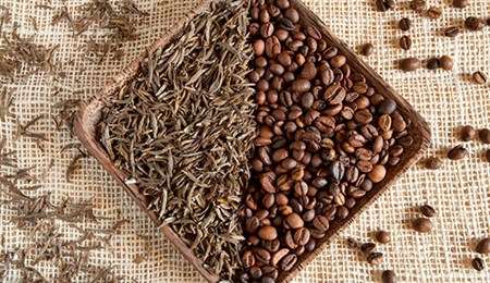 Het verschil tussen cafeïne en theïne