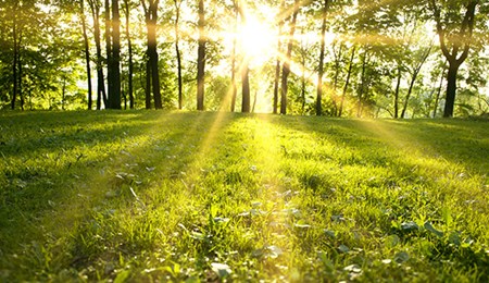 De beste tips tegen voorjaarsvermoeidheid
